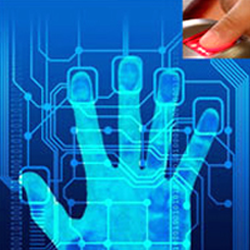 What is Dermatoglyphics 1 - Dmit Software - Fingerprint biometrics